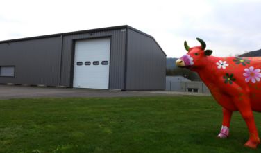 Porte sezionali industriali